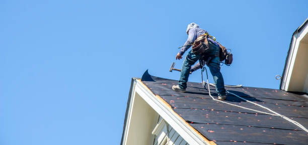 Best Roof Gutter Cleaning  in Maple Bluff, WI